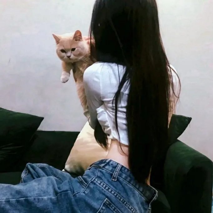 先生的朋友圈 封面