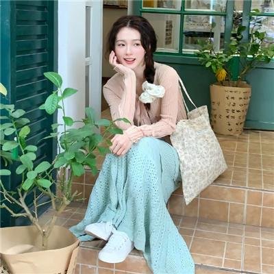 春潮烂漫海棠红 封面
